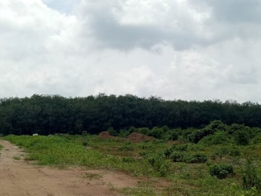 Cận cảnh khu đất khiến cựu Giám đốc sở Tài nguyên Bình Dương bị truy tố ảnh 5