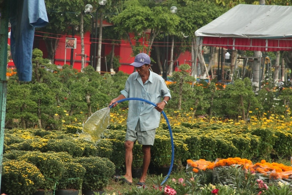 Nhọc nhằn mưu sinh ngày cận Tết ảnh 1