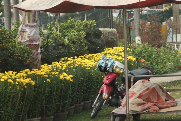 Nhọc nhằn mưu sinh ngày cận Tết ảnh 5