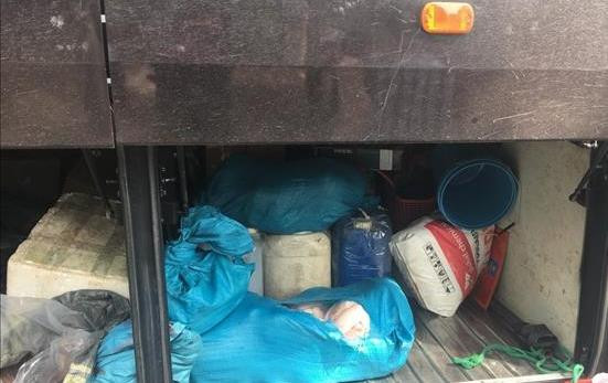 Tạm giữ xe khách chở hơn 5 tạ thịt thối trên đường đi tiêu thụ ảnh 1