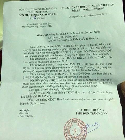 Thực hư chuyện lập ban tiêu hủy tang vật... 6 kg xoài ảnh 1