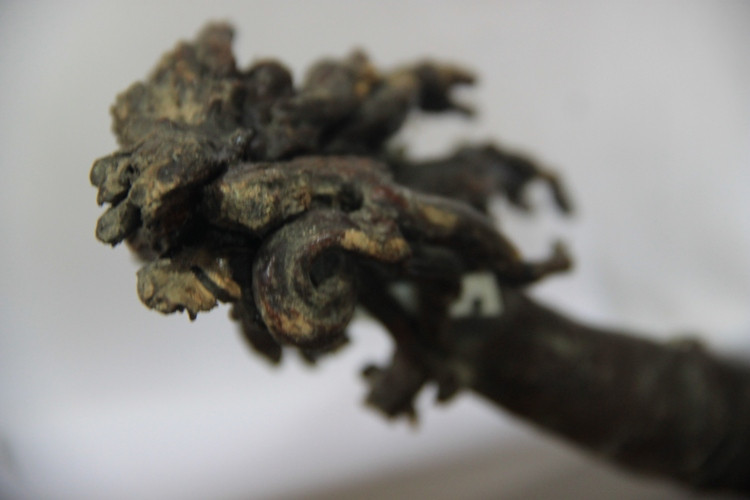 Chiếc gậy Trường Sơn của cựu binh Đinh Ngọc Bửu (Sinh 1930, mất năm 2013, Đà Nẵng), nguyên cán bộ Phòng tham mưu Bộ tư lệnh QK5. Chiếc gậy này đã theo suốt ông trong chiến dịch Bắc Tây Nguyên, được ông Bửu hiến tặng bảo tàng Đà Nẵng trước khi qua đời