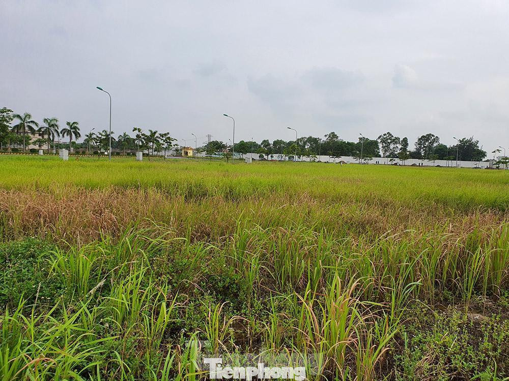 KĐT Inoha City chính là khu đô thị nằm trong giai đoạn I của KCN HANSSIP, tổng diện tích hạ tầng đã hoàn thiện hiện nay khoảng 100ha, diện tích đất công nghiệp khoảng 52ha và đất đô thị là 25ha.