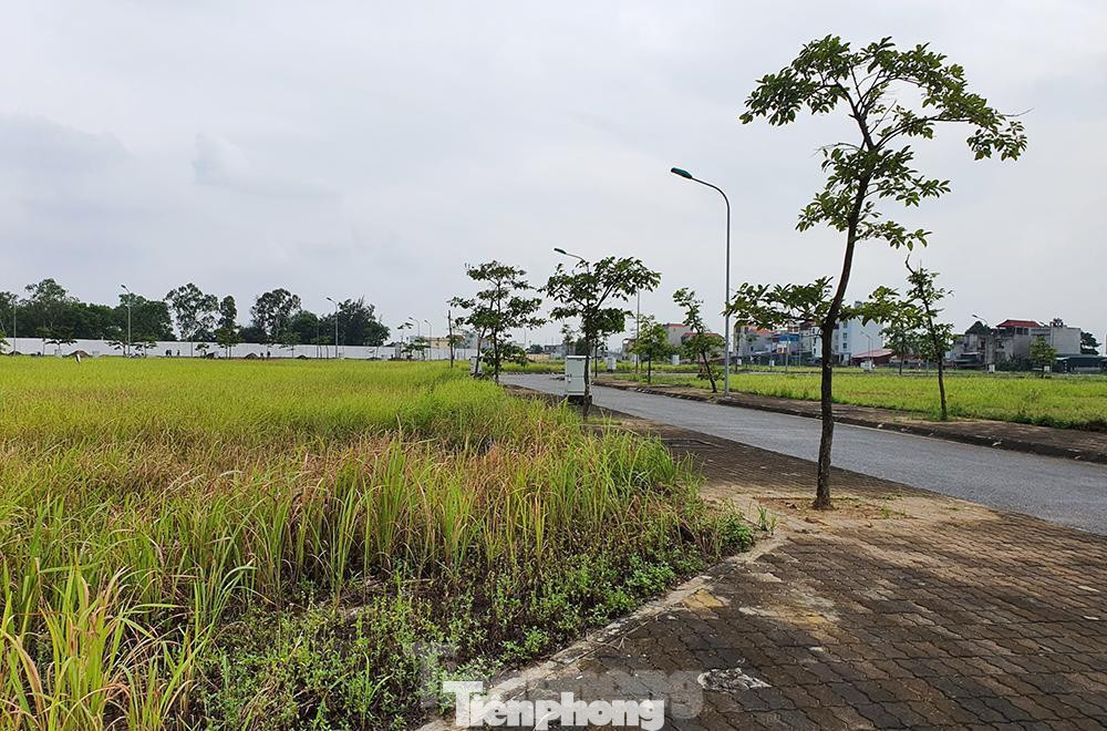 Mặc dù chưa có nhà đầu tư vào KCN nhưng đất đô thị tại KCN lại khá sôi động do nằm trên các trục QL1 và cao tốc Pháp Vân - Cầu Giẽ