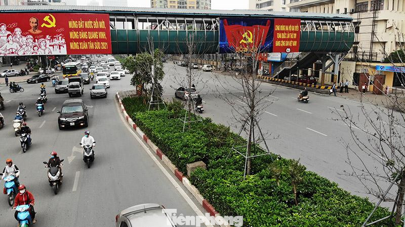 Những cây phong này (262 cây) do Công ty cổ phần Đầu tư Tân Đại Đường tặng thành phố, được trồng thử nghiệm từ năm 2018. Trong đó, tuyến Nguyễn Chí Thanh trồng 119 cây, tuyến Trần Duy Hưng trồng 143 cây.