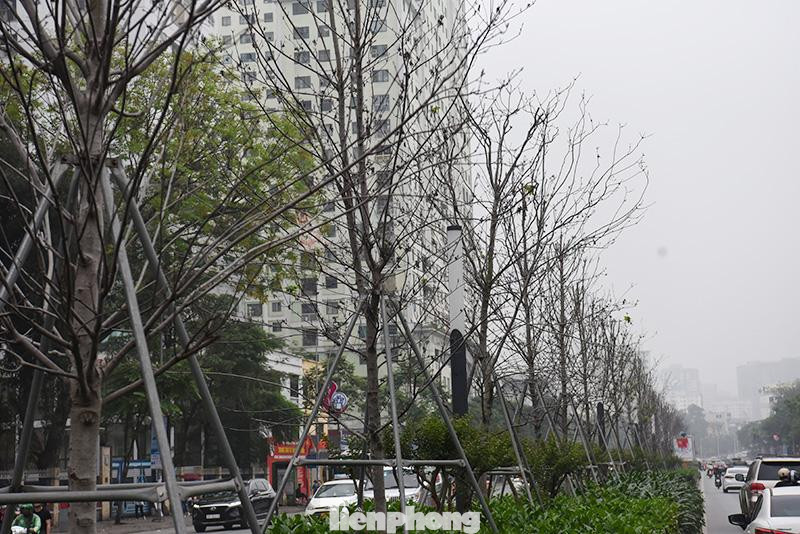 Thời gian thay thế sẽ diễn ra trước ngày 30/4/2021