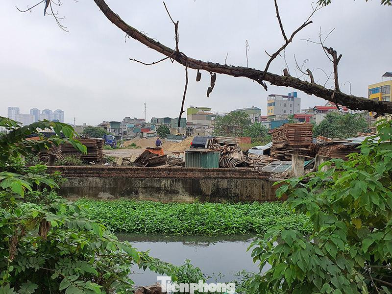 Đáng chú ý, khu vực Đầm Bông đã bị người dân đổ chất thải, san lấp gần nửa hồ và chưa hết dấu hiệu san lấp bằng cách đổ vật liệu xây dựng.