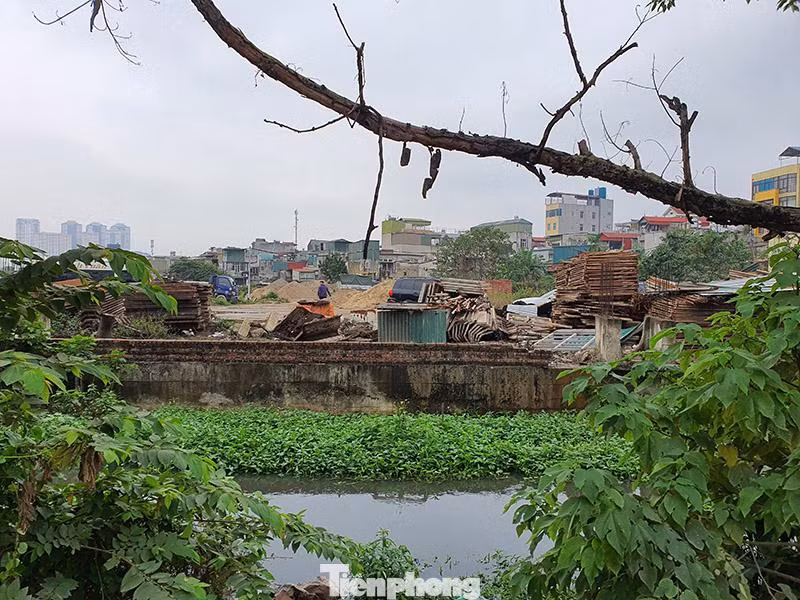 Đáng chú ý, khu vực Đầm Bông đã bị người dân đổ chất thải, san lấp gần nửa hồ và chưa hết dấu hiệu san lấp bằng cách đổ vật liệu xây dựng.