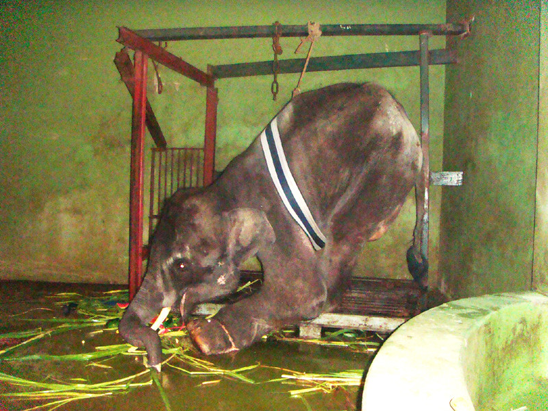 Khăm Bun hơn một năm sau khi được 