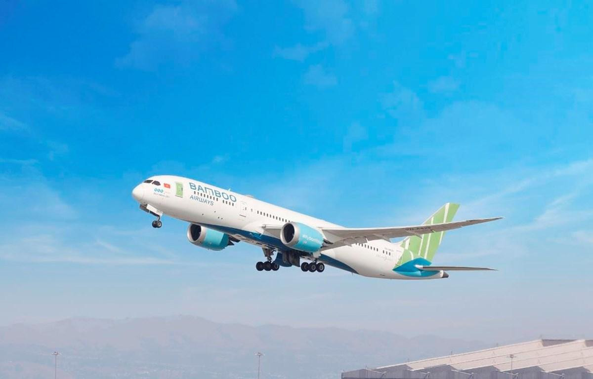 Máy bay Boeing 787-9 của hãng hàng không Bamboo Airways đã đi đón công dân Việt Nam từ Ba Lan về nước. (Ảnh: CTV/Vietnam+)