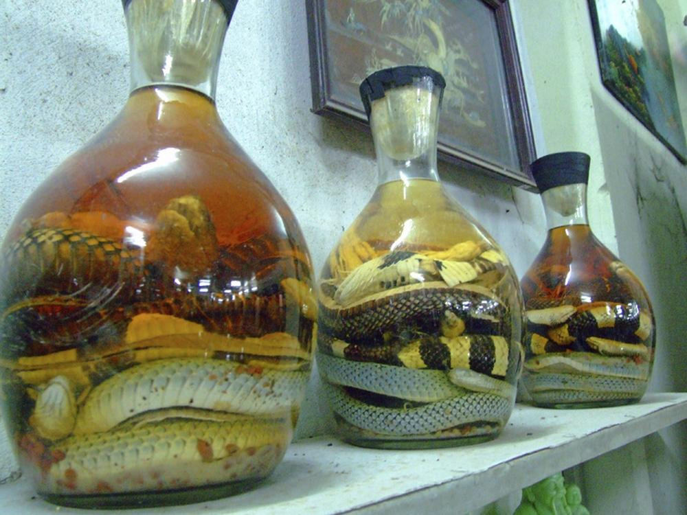 Rắn được dùng để ngâm rượu. Ảnh: Pinterest Tại sao rắn ngâm trong rượu cả năm trời vẫn có thể sống dậy tấn công con người? - Ảnh 2.