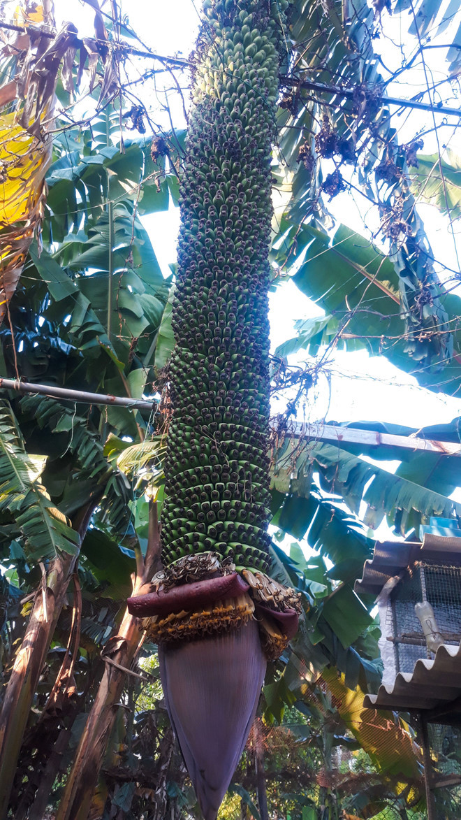 Bản tin 8H: Giám đốc Công an hai tỉnh Hải Dương và Hải Phòng ‘đổi chỗ’ ảnh 1