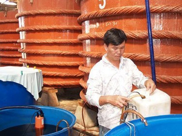 Nước mắm Phú Quốc. Ảnh: Internet