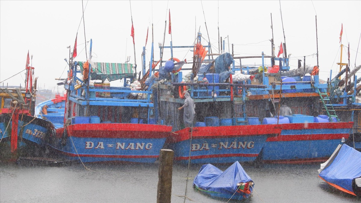 Thủ tướng chỉ đạo tập trung ứng phó áp thấp nhiệt đới mạnh lên thành bão và mưa lũ. Thủ tướng chỉ đạo tập trung ứng phó áp thấp nhiệt đới mạnh lên thành bão và mưa lũ.