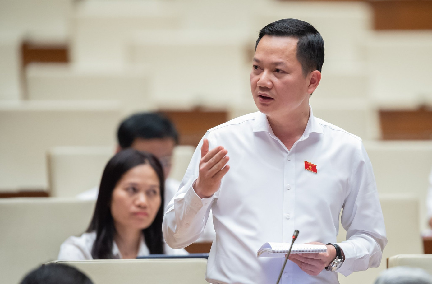 Đại biểu Trịnh Xuân An (Đồng Nai)