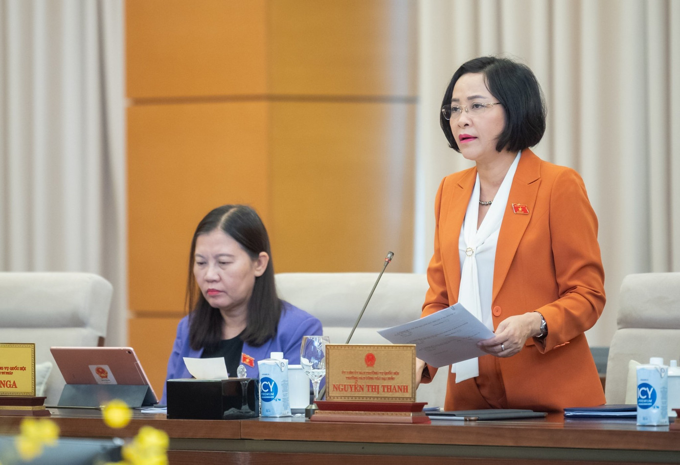 Trưởng Ban Công tác đại biểu Nguyễn Thị Thanh Trưởng Ban Công tác đại biểu Nguyễn Thị Thanh