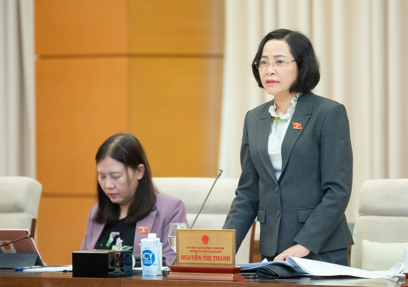 Trưởng ban Công tác đại biểu Nguyễn Thị Thanh. (Ảnh: VTT)