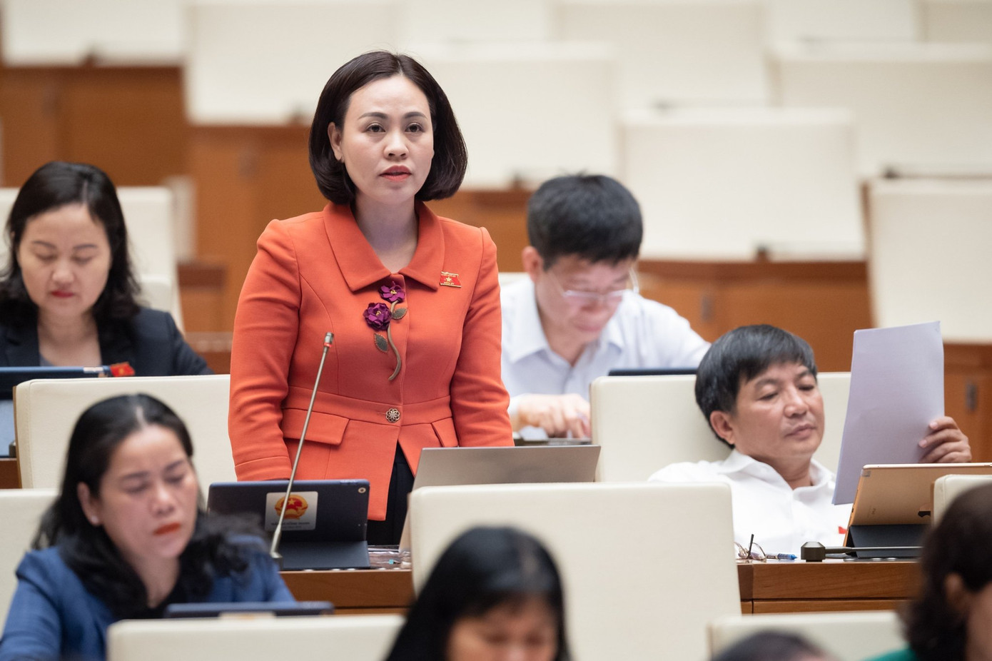 Đại biểu Trần Thị Hồng Thanh - Đoàn ĐBQH tỉnh Ninh Bình Đại biểu Trần Thị Hồng Thanh - Đoàn ĐBQH tỉnh Ninh Bình