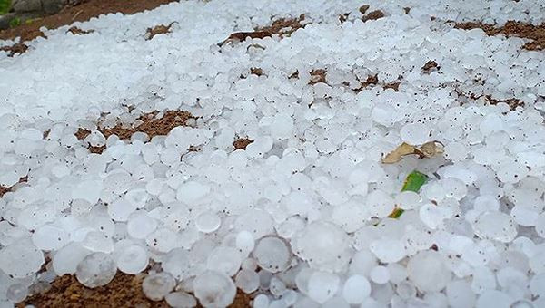 Bản tin 8H: Tài xế say xỉn tông sập quán cà phê ven đường ảnh 1