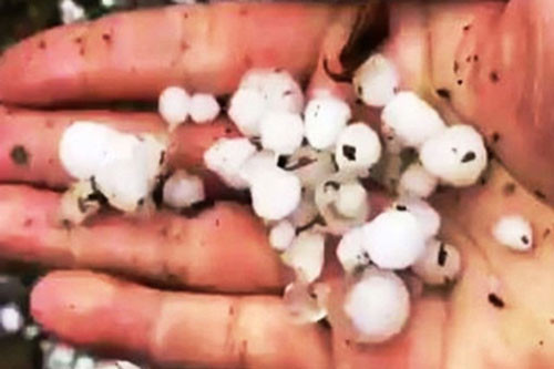 Bản tin 8H: Thiếu phụ xinh đẹp mất tích bí ẩn lúc nửa đêm ảnh 4