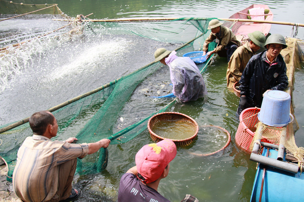 Người giữ lưới, người bắt cá. Ảnh: Trường Phong