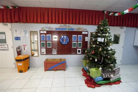 Cây thông Noel được đặt tại lối vào khu vực ăn uống.