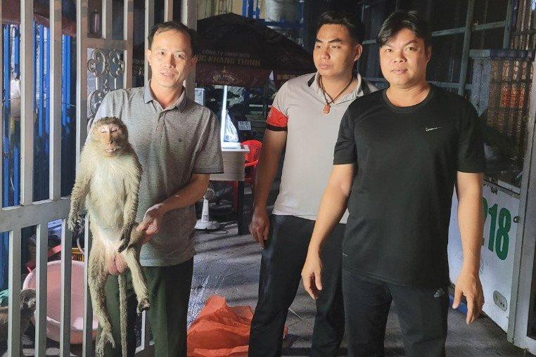 Chú khỉ đuôi dài bị điện giật bất tỉnh được người dân giải cứu và bàn giao cho cơ quan chức năng. Chú khỉ đuôi dài bị điện giật bất tỉnh được người dân giải cứu và bàn giao cho cơ quan chức năng.