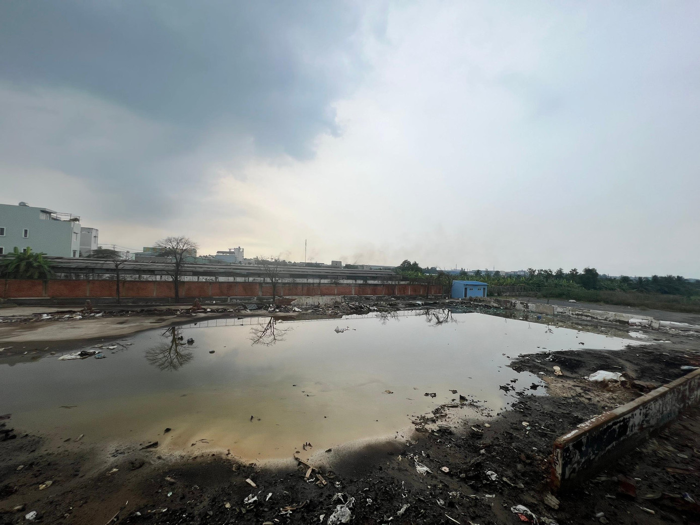 Cây cối khu vực chết khô sau vụ hỏa hoạn.