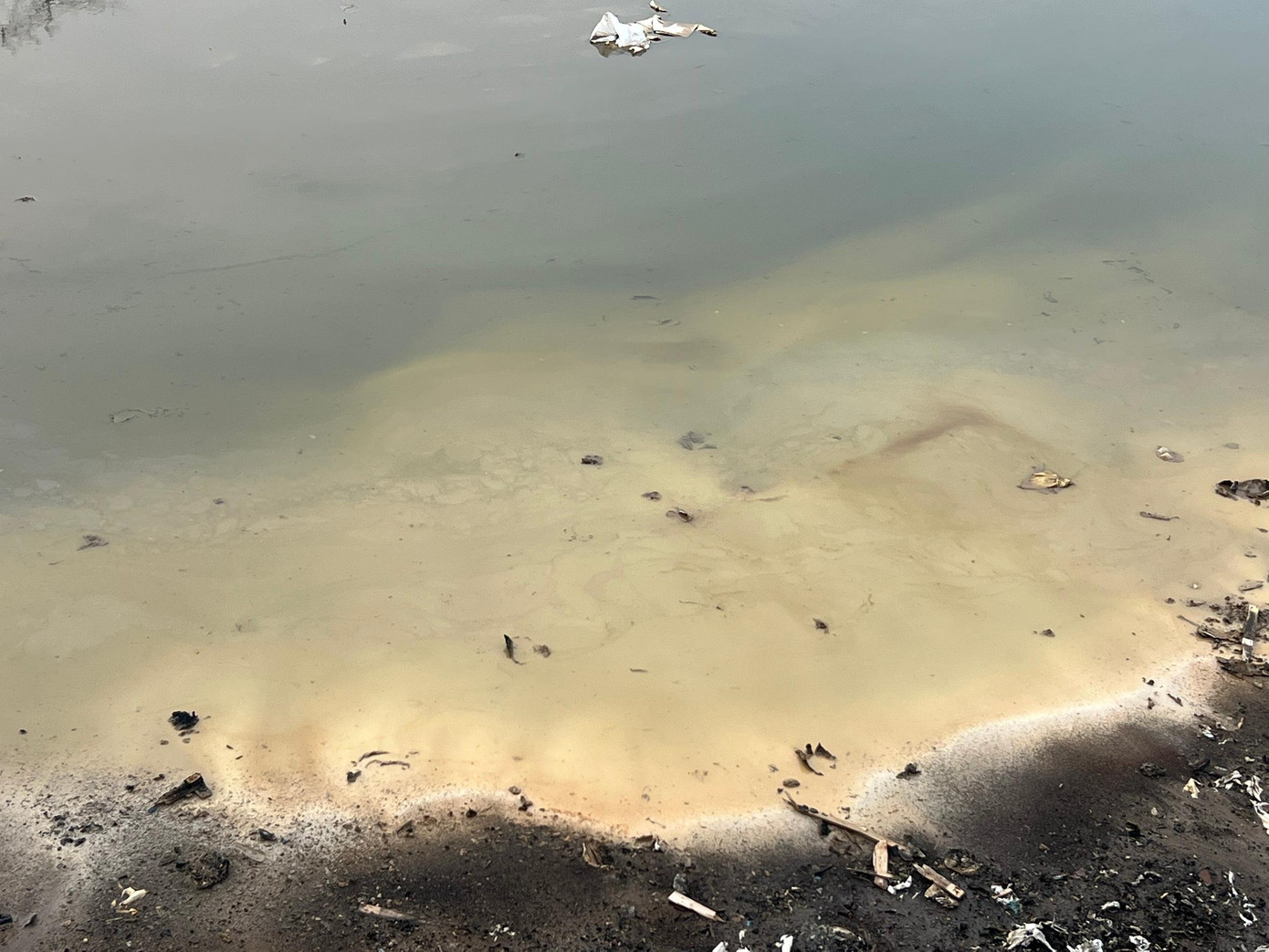 Vũng nước đọng sau mưa ở khu vực nổi váng màu, bốc mùi khó chịu.