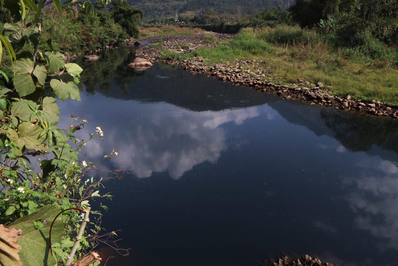 Dòng suối Nậm Dê trong xanh trước kia nay trở thành dòng suối "chết" với màu nước đen kịt.