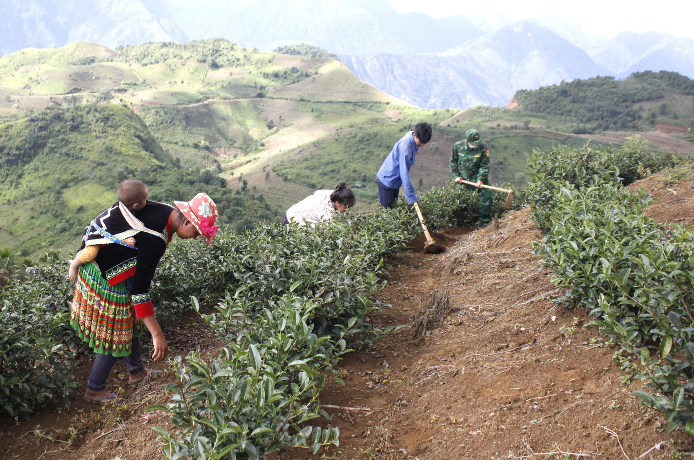 Hình ảnh Bộ đội Cụ Hồ ngày được khắc thêm trong lòng nhân dân gắn với xây dựng thế trận biên phòng toàn dân vững chắc.