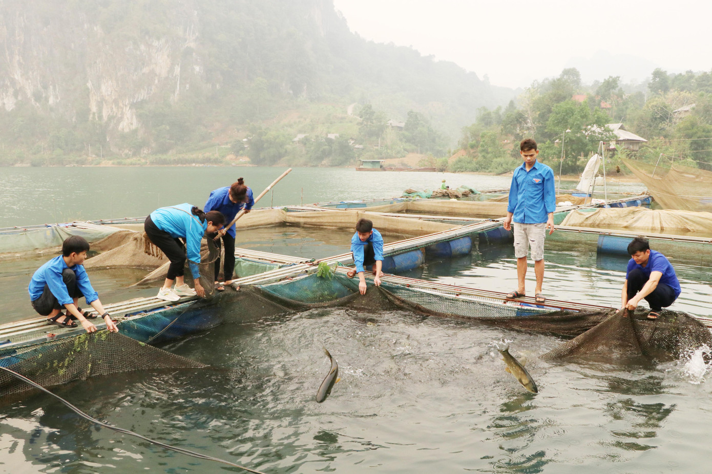 Không chỉ làm giàu cho gia đình, anh Lường Văn Chùm tạo việc làm thời vụ cho 2-3 lao động địa phương là thanh niên. Không chỉ làm giàu cho gia đình, anh Lường Văn Chùm tạo việc làm thời vụ cho 2-3 lao động địa phương là thanh niên.