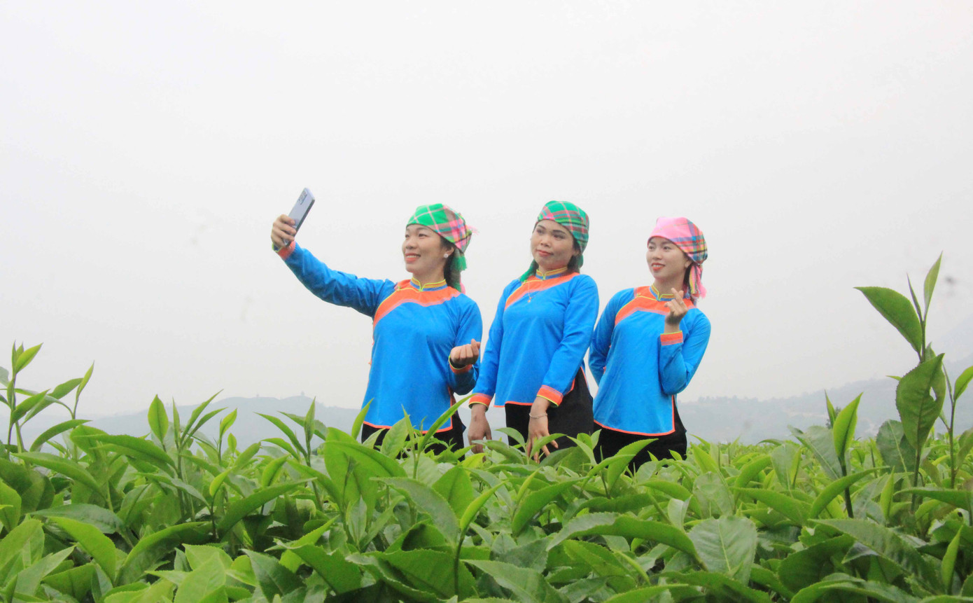 Du khách và người dân check - in tại đồi chè.