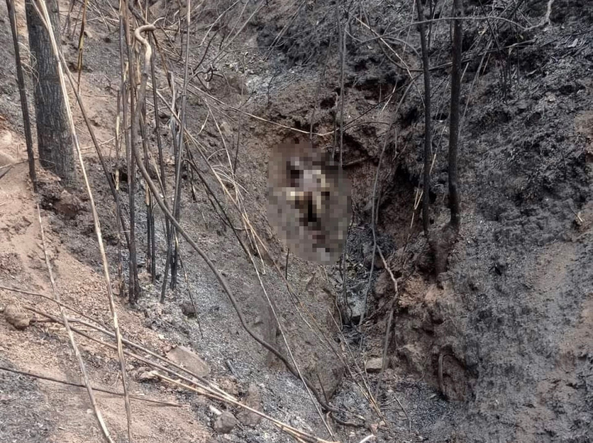 Hiện trường nơi phát hiện 3 thi thể.