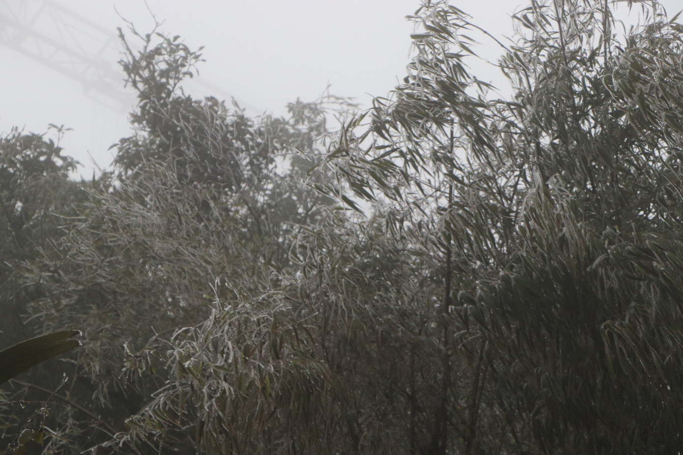 Đỉnh đèo Ô Quy Hồ hàng năm vào các đợt rét đậm, rét hại thường xuất hiện băng giá.