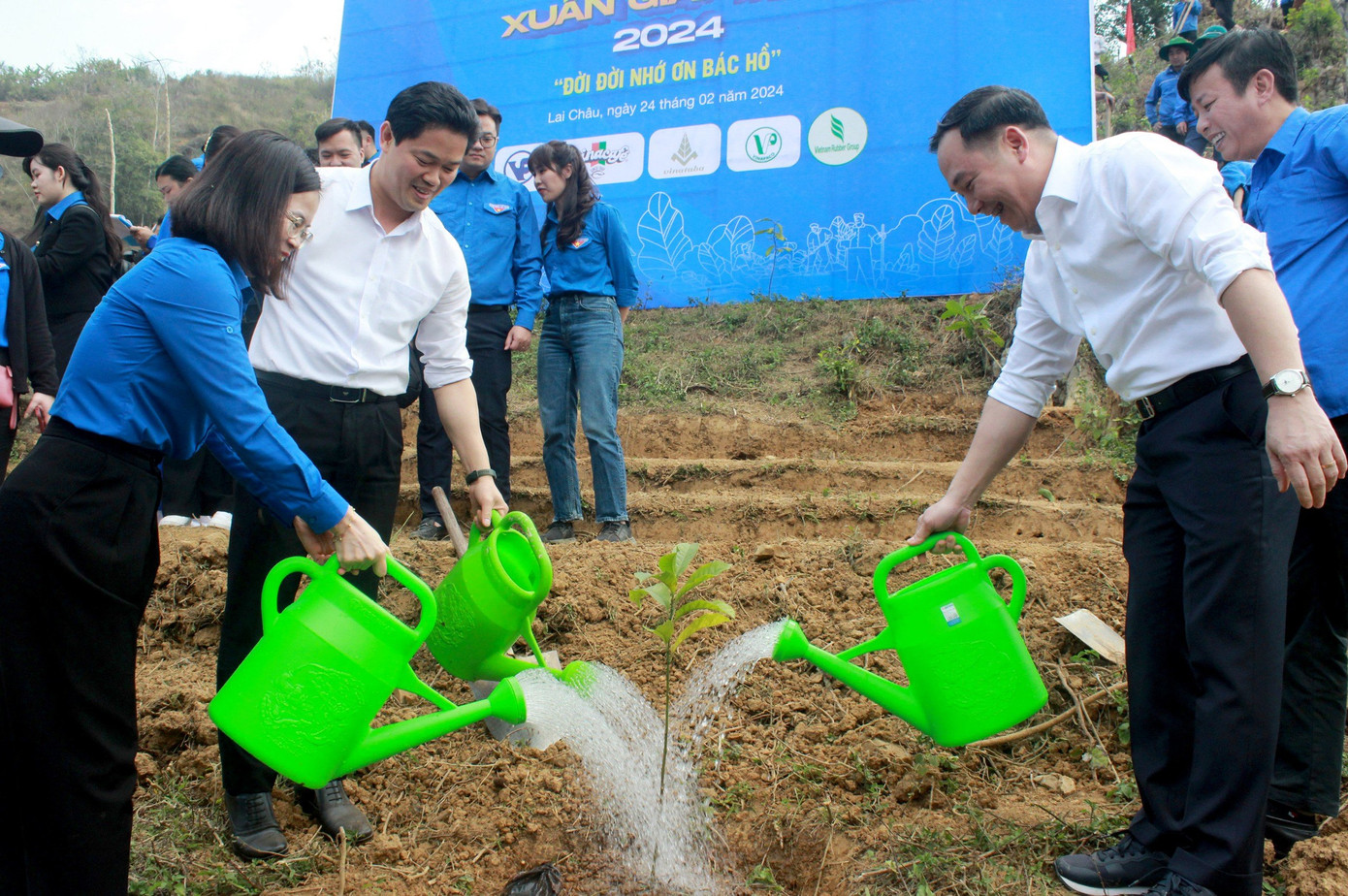 Các đại biểu tham gia trồng cây xanh.