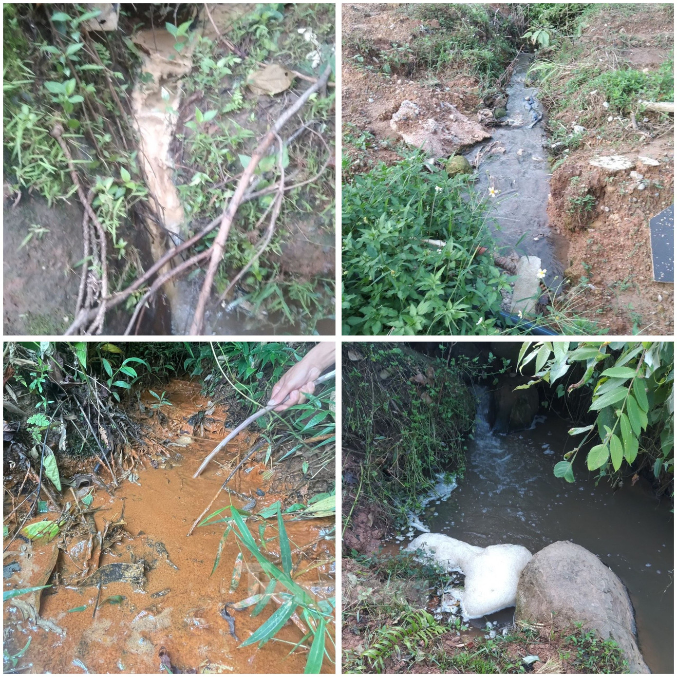 Dòng nước phía sau khu vực Nhà máy chế biến mủ cao su có màu đen và mảng bám màu vàng đục. Dòng nước phía sau khu vực Nhà máy chế biến mủ cao su có màu đen và mảng bám màu vàng đục.