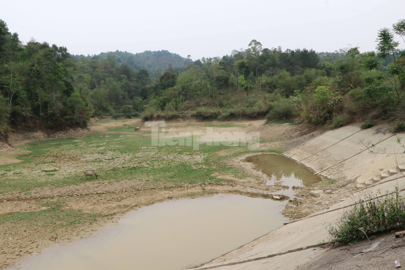 Hồ thủy lợi cạn trơ đáy.