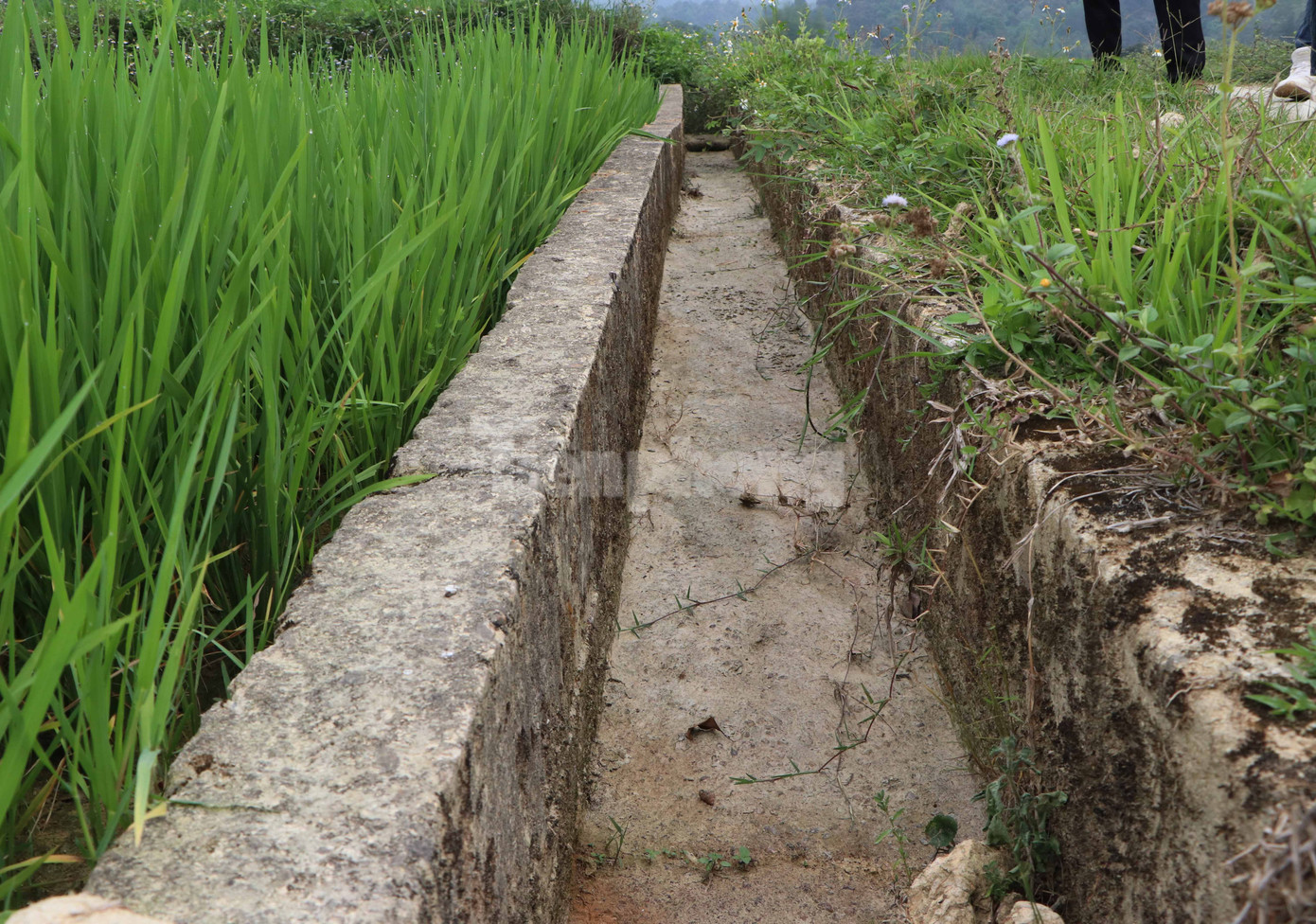 Kênh mương dẫn nước không có một giọt nước.