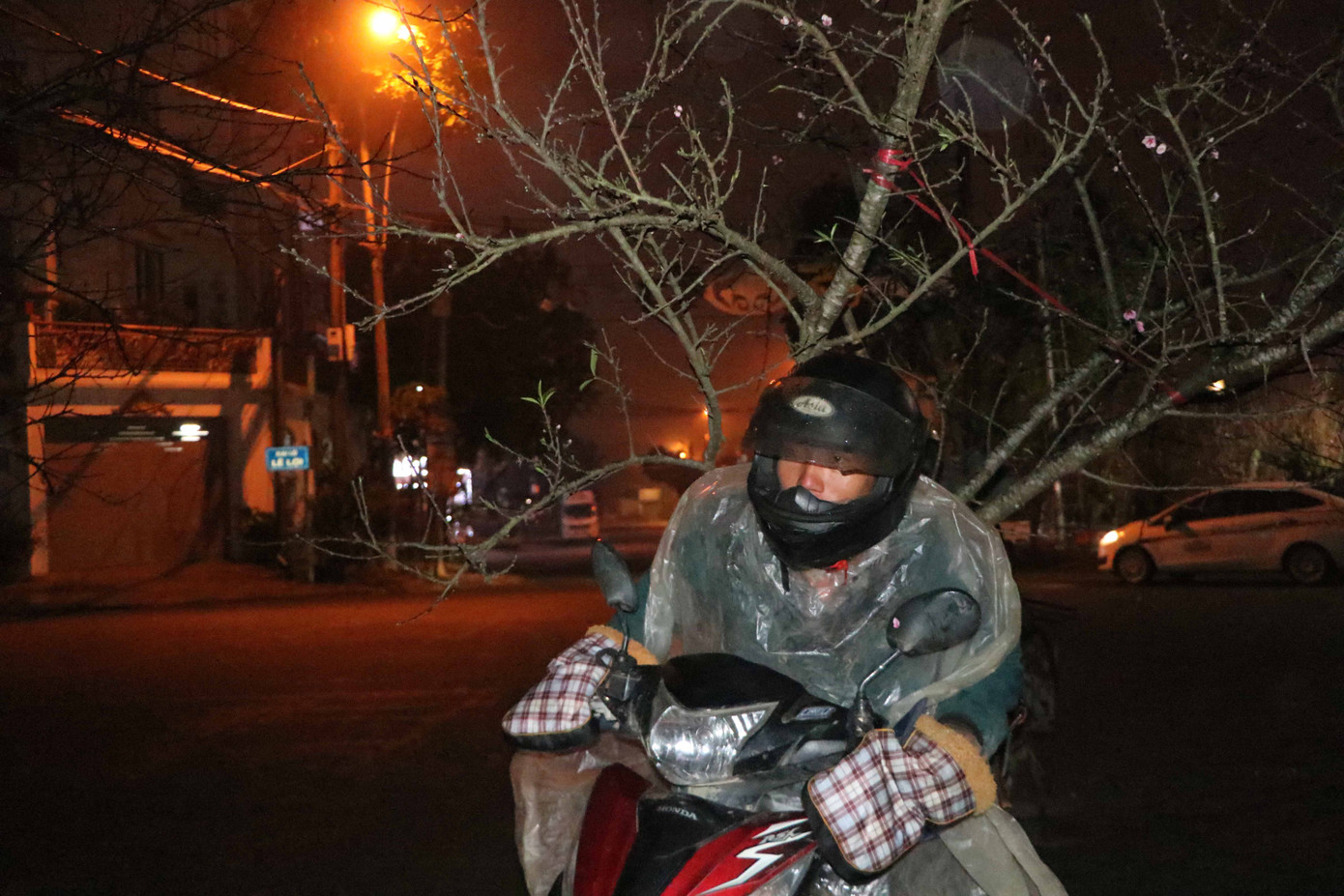 Những chuyến xe chở đào nhọc nhằn trong đêm.