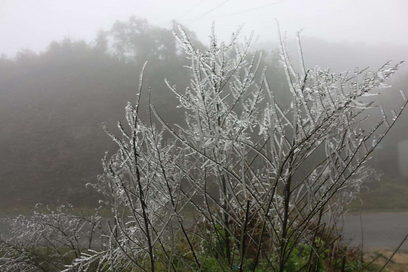 Chính quyền địa phương cho biết, trước tình hình băng giá, mưa rét, các xã, phường đã chỉ đạo các trường học có giải pháp tăng cường chống rét cho học sinh, cây trồng, vật nuôi.