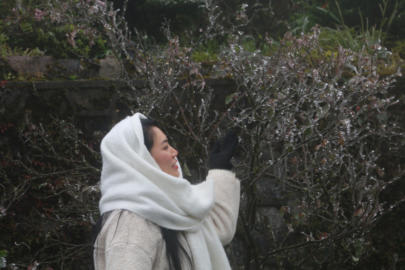 Du khách thích thú được ngắm băng trên đỉnh Ô Quý Hồ.