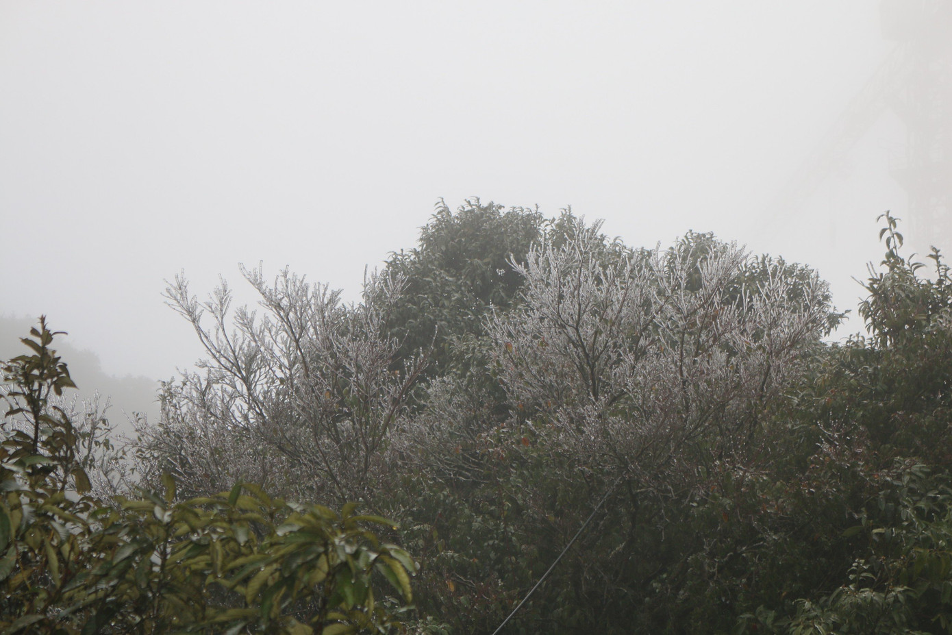 Theo Đài khí tượng thủy văn Lai Châu đợt không khí lạnh kéo dài đến hết ngày 26/1, nhiệt độ thấp nhất về đêm và sáng sớm phổ biến từ 5 - 7 độ C, vùng núi cao từ 3 - 5 độ C và có khả năng tiếp tục xảy ra băng giá và mưa tuyết. Khu vực thị xã Sa Pa (Lào Cai), nền nhiệt trong các ngày rét đậm, rét hại chỉ dao động 1-2 độ C.