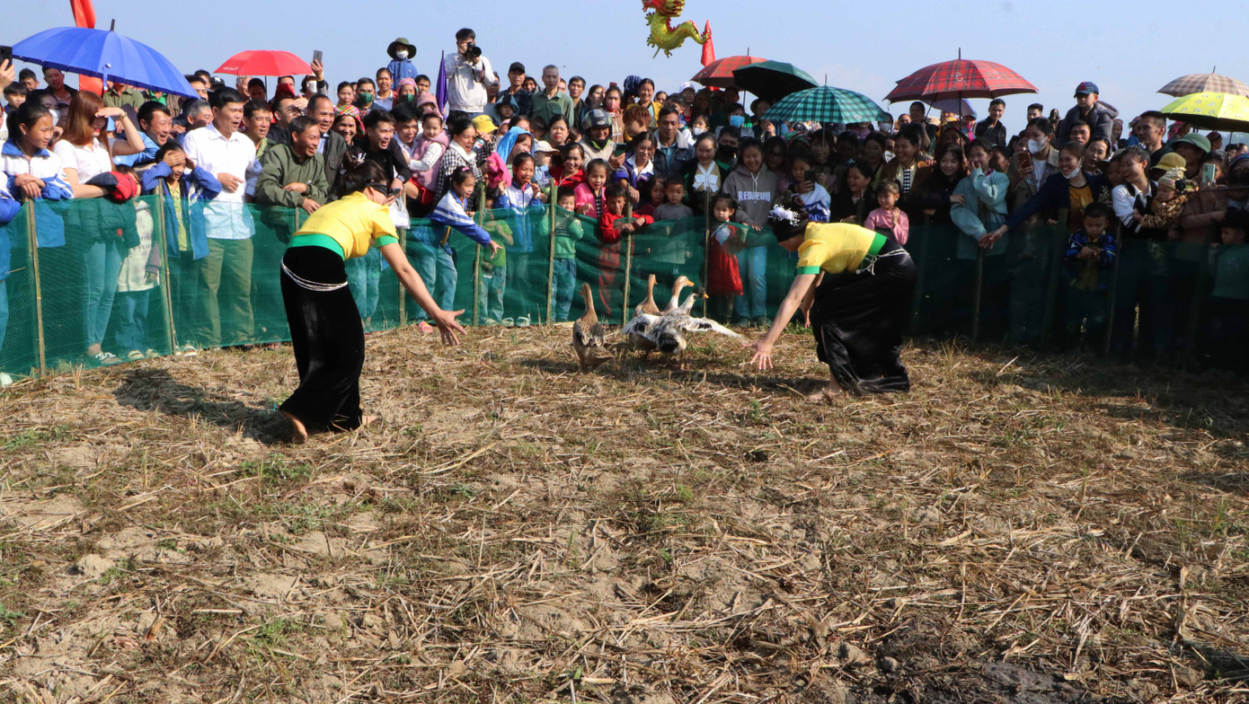 Trò chơi bịt mắt bắt vịt thu hút đông đảo người dân địa phương và du khách tham gia.