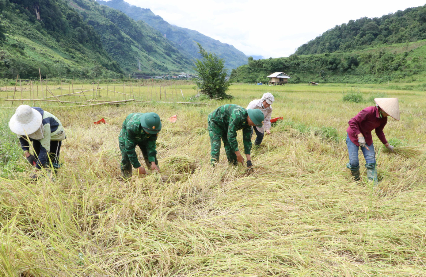 Với những việc làm thiết thực giúp nhân dân phát triển kinh tế đã góp phần gắn kết tình đoàn kết quân - dân trên khu vực biên giới Lai Châu.
