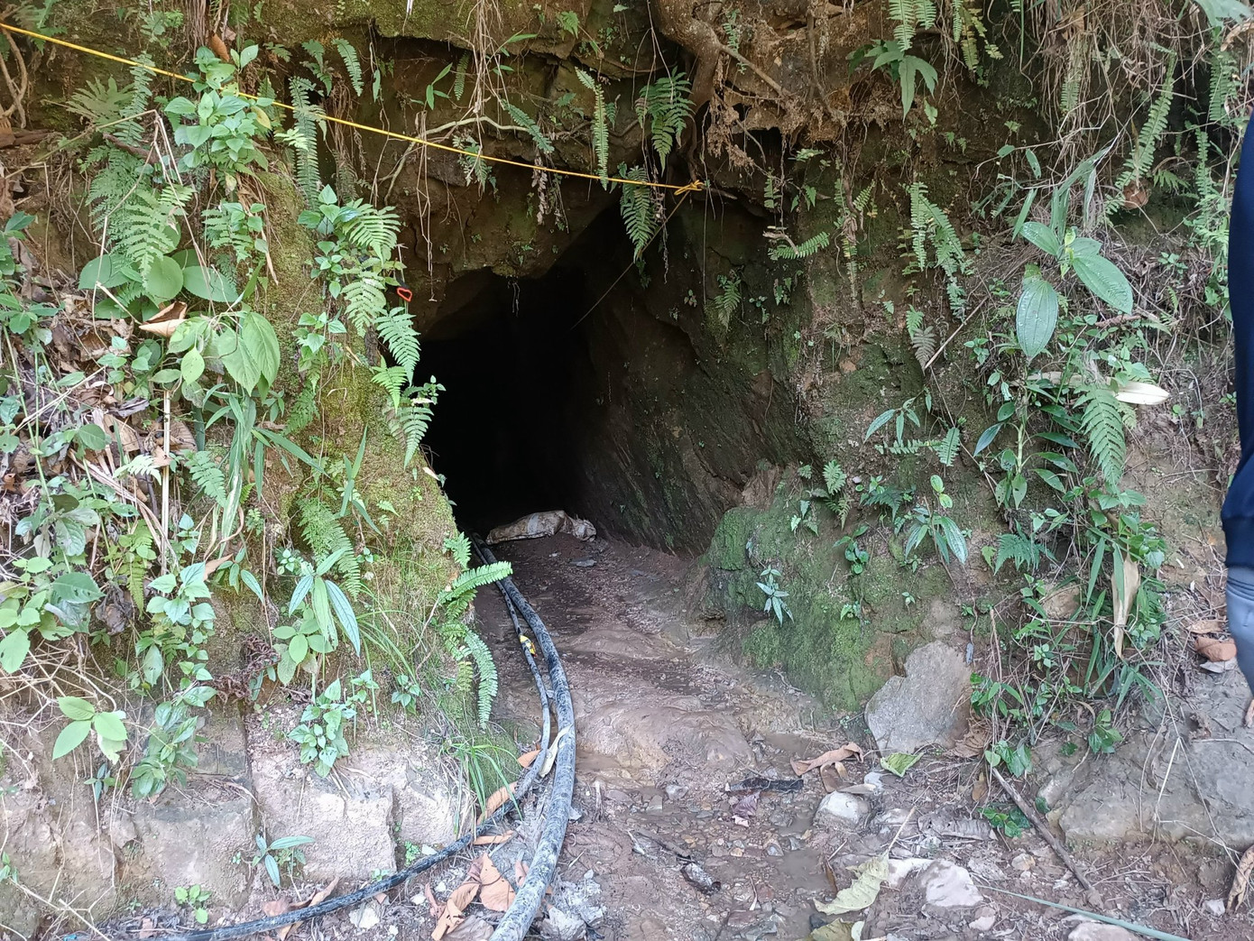 Hầm lò - nơi các đối tượng khai thác quặng vàng trái phép. Hầm lò - nơi các đối tượng khai thác quặng vàng trái phép.