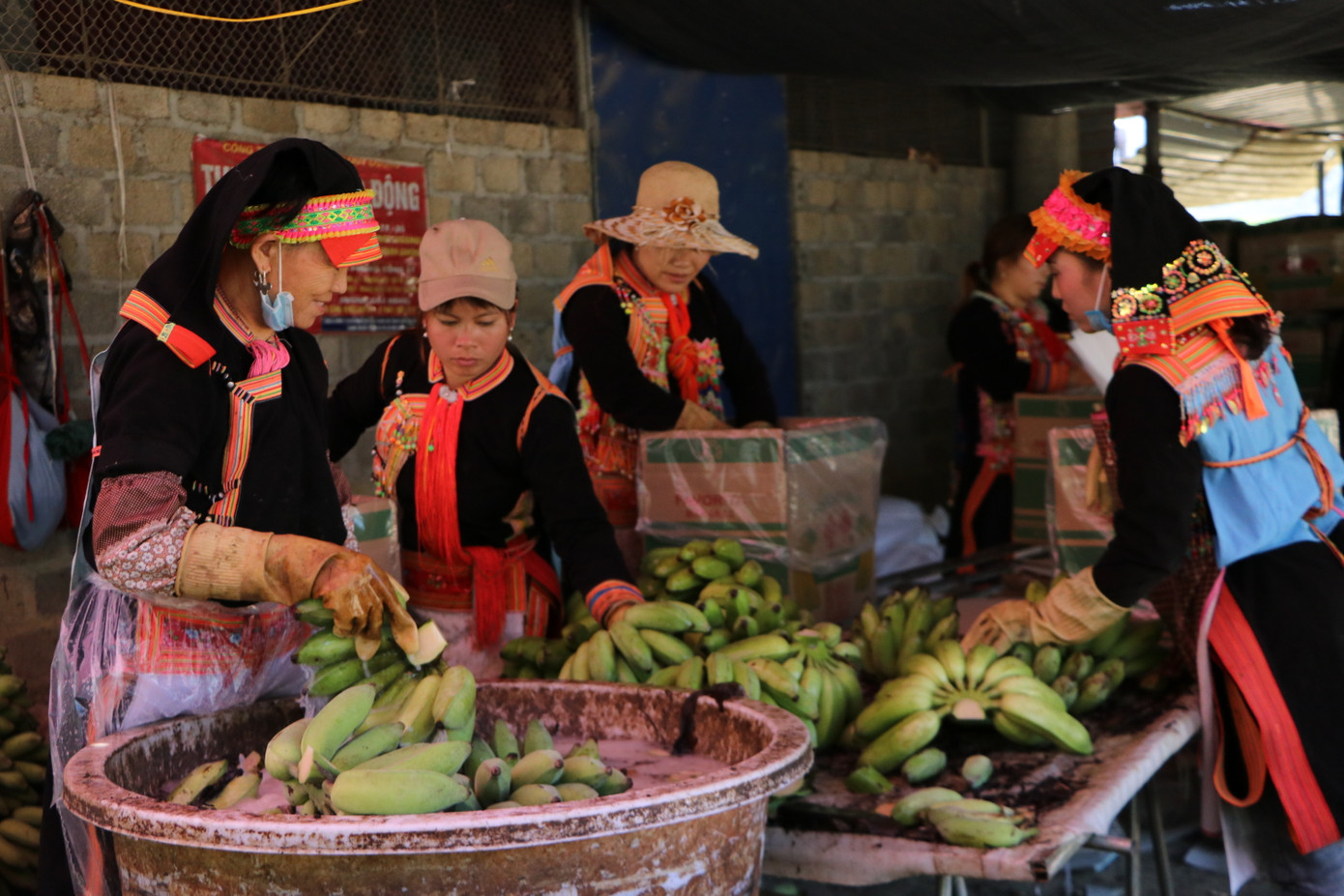 Chị em phụ nữ đồng bào Dao, huyện Phong Thổ (Lai Châu) tích cực tìm kiếm việc làm nhằm nâng cao thu nhập cho gia đình và bản thân. Chị em phụ nữ đồng bào Dao, huyện Phong Thổ (Lai Châu) tích cực tìm kiếm việc làm nhằm nâng cao thu nhập cho gia đình và bản thân.