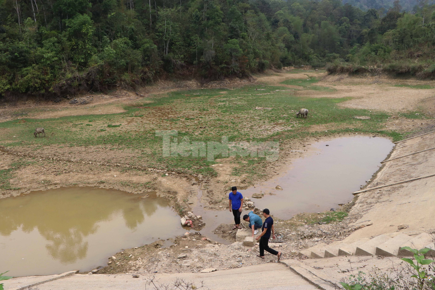 Nhiều hồ chứa nước thủy lợi ở Lai Châu cạn trơ đáy. Nhiều hồ chứa nước thủy lợi ở Lai Châu cạn trơ đáy.