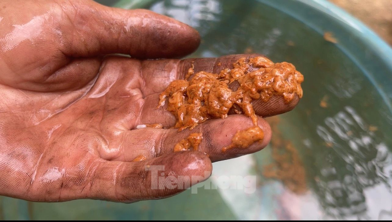 Nước sinh hoạt của người dân có mảng bám đục ngầu và bốc ra mùi hôi thối. Nước sinh hoạt của người dân có mảng bám đục ngầu và bốc ra mùi hôi thối.