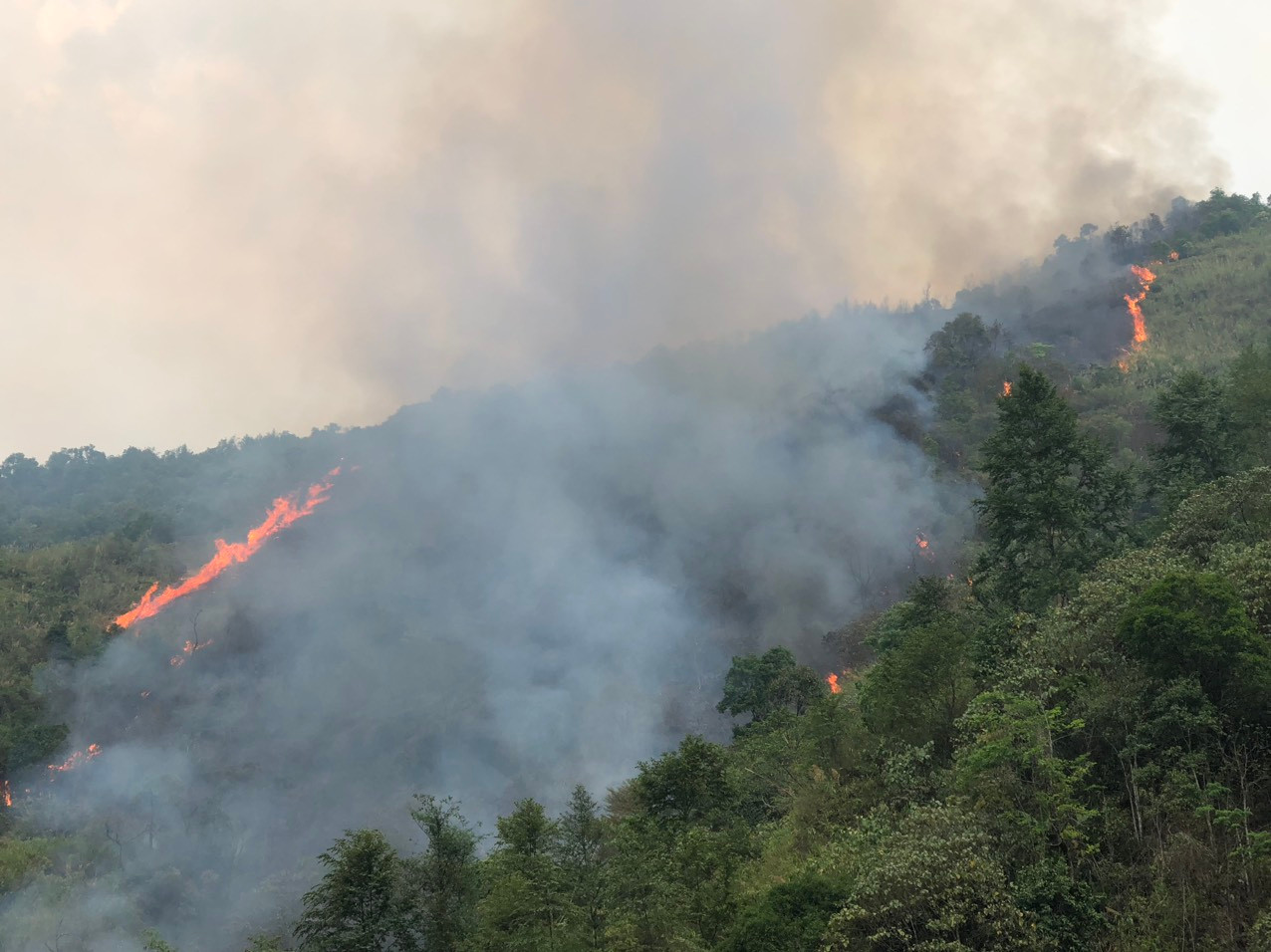 Đám cháy xảy ra vào 15h ngày 15/4 tại huyện Nậm Nhùn.